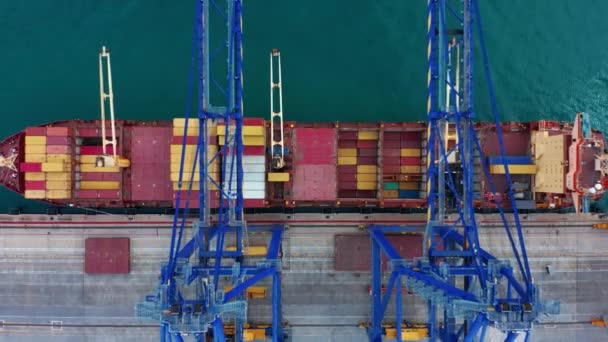 Verladung eines Containerschiffs im Hafen eines großen Logistikzentrums in einer amerikanischen Großstadt. Transport verschiedener Ladungen über die Ozeane in der billigsten Art und Weise der Lieferung. Hochwertiges 4k Filmmaterial - Filmmaterial, Video