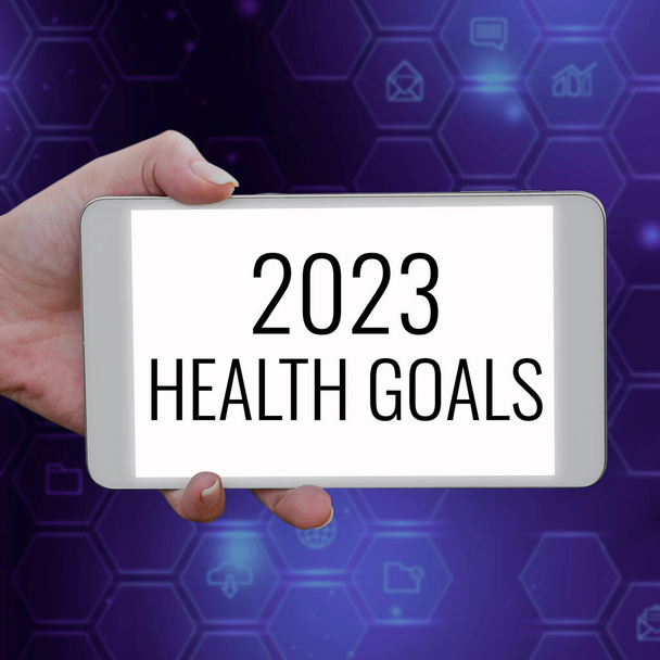 Conceptual display 2023 Health Goals, Word Written on celebration of the beginning of the calendar year 2023 - Photo, Image