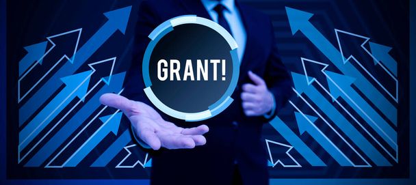 Conceptueel bijschrift Grant, Business overview Geld gegeven door een organisatie of overheid voor een doel Beurs - Foto, afbeelding