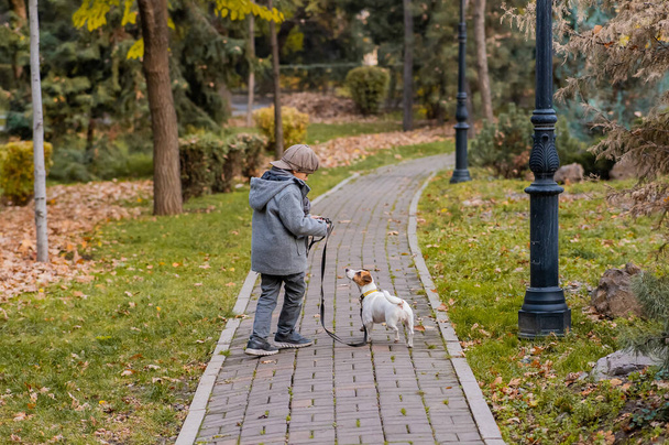 The boy runs with the dog Jack Russell Terrier in the park. Autumn Walk - Фото, зображення