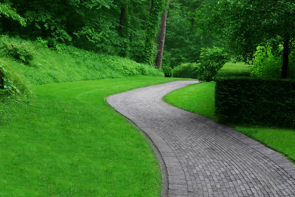 Beautiful green park with paved pathway. Landscape design - 写真・画像