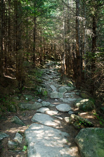 Mountain trail - Fotoğraf, Görsel