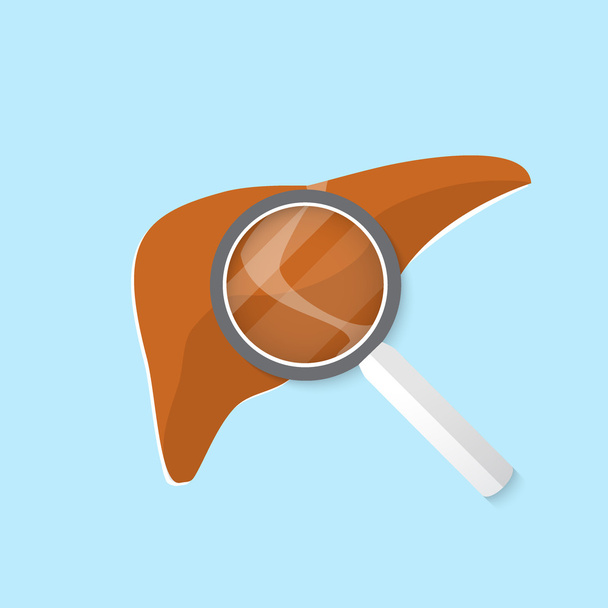 Vector flat liver icon. - Вектор,изображение