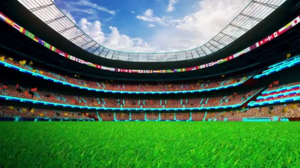 スタジアムで草の上を飛ぶことは、 FIFAワールドカップのための映画やサッカーでの映画です。また、シーンやタイトル、ロゴのための良い背景.  - 映像、動画