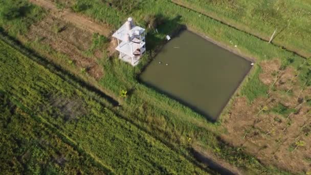 Αεροφωτογραφία των λιμνών για τη γεωργία στις αγροτικές περιοχές. Λίμνη για τη συνολική γεωργία. Έννοια της οικονομίας επάρκειας - Πλάνα, βίντεο