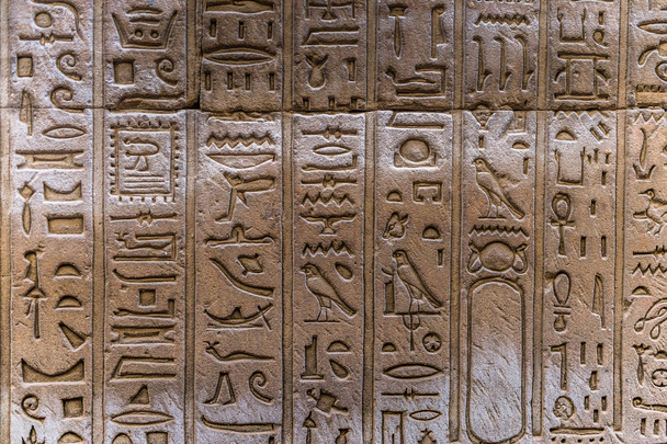 Egyptian hieroglyphs on the wall of the Horus temple in Egypt - Φωτογραφία, εικόνα