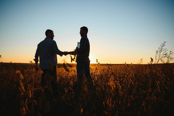 Two farmers shaking hands in soybean field - Фото, зображення