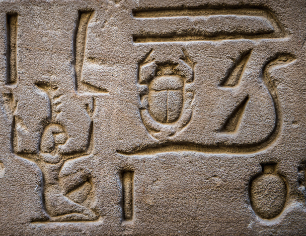 Egyptian hieroglyphs on the wall of the Horus temple in Egypt - 写真・画像