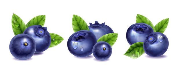 Świeże jagody z kroplami wody i zielone liście realistyczne kompozycje zestaw izolowanych wektor ilustracji - Wektor, obraz