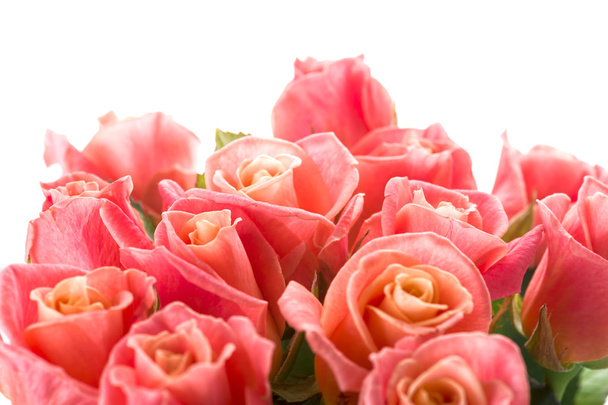Pink roses bouquet  - Fotoğraf, Görsel