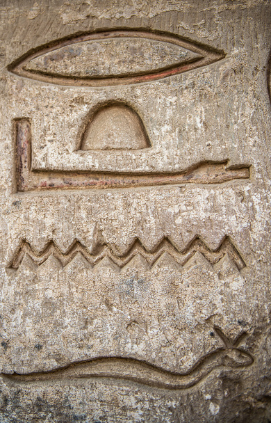 Egyptian hieroglyphs on the wall in the Sobek temple in Kom Ombo, Egypt - Fotoğraf, Görsel