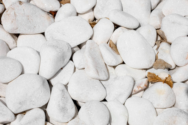 Arkaplan olarak beyaz çakıl taşları, yakın plan - Fotoğraf, Görsel