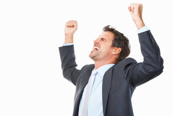 Businessman expressing success. Successful business man with open arms on white background - Foto, Imagem