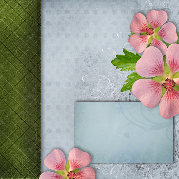 Cover for album with bouquet of pink flowers - Fotó, kép