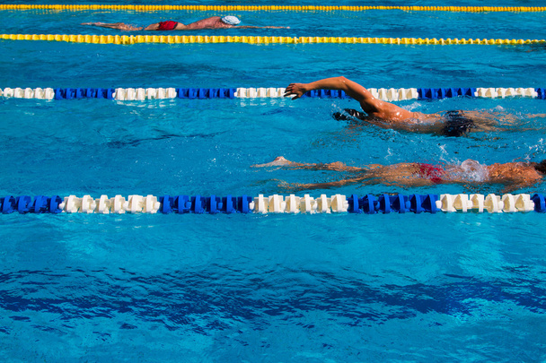 Swimming competition  - Foto, Bild