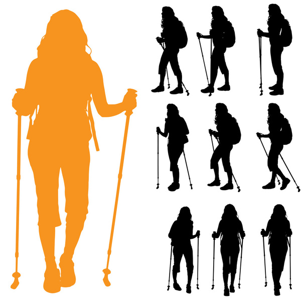 Women with Nordic walking. - Vector, Image