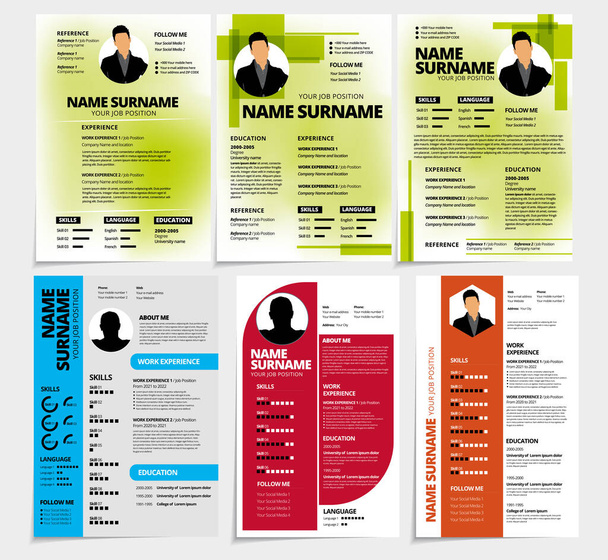 Professional resume template design. Business layout vector for job applications - Vector, Image