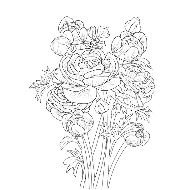 Χειροποίητη Buttercup, Ranunculus λουλούδι μπουκέτο εικονογράφηση διάνυσμα σκίτσο χαραγμένο μελάνι τέχνη βοτανική συλλογή φύλλων κλαδί απομονώνονται σε λευκό φόντο χρωματισμό σελίδα και βιβλία. - Διάνυσμα, εικόνα