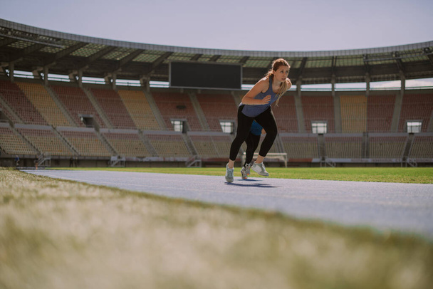 スタジアムで2人の女性スポーツ選手が走り始めた。彼らは次のマラソンのために心臓を訓練しています - 写真・画像