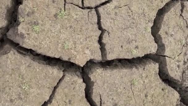 Dry lake bed ecology disaster. Natural texture of dry cracked clay lake bed from. High quality FullHD footage - Footage, Video