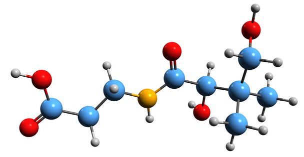  3D-Aufnahme der Pantothensäure-Skelettformel - molekulare chemische Struktur von Vitamin B5 isoliert auf weißem Hintergrund - Foto, Bild