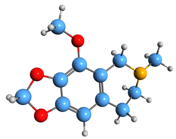 3D-beeld van Hydrocotarnine skelet formule - moleculaire chemische structuur van fytochemische geïsoleerd op witte achtergrond - Foto, afbeelding