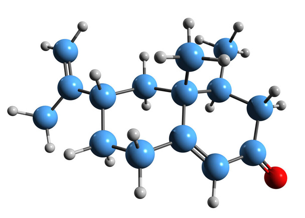  3D obraz kosterního vzorce dihydronutkanonu - molekulárně chemická struktura grapefruitové fytochemické izolované na bílém pozadí - Fotografie, Obrázek