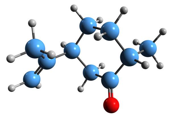  Imagen 3D de la fórmula esquelética de Dihidrocarvona - estructura química molecular del terpenoide aislado sobre fondo blanco - Foto, imagen