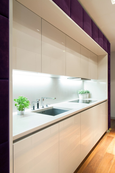 White kitchen with purple elements - Foto, Imagem