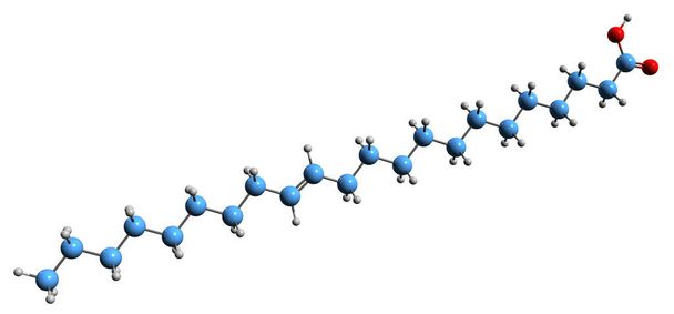  3D изображение скелетной формулы эрусиновой кислоты - молекулярная химическая структура мононенасыщенной омега-9 жирной кислоты, выделенной на белом фоне - Фото, изображение
