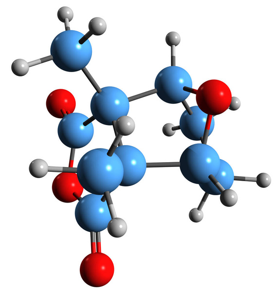 Cantharidin iskelet formülünün 3 boyutlu görüntüsü - afrodizyakların moleküler kimyasal yapısı beyaz arka planda izole edilmiş terpenoid kabarcıkları - Fotoğraf, Görsel