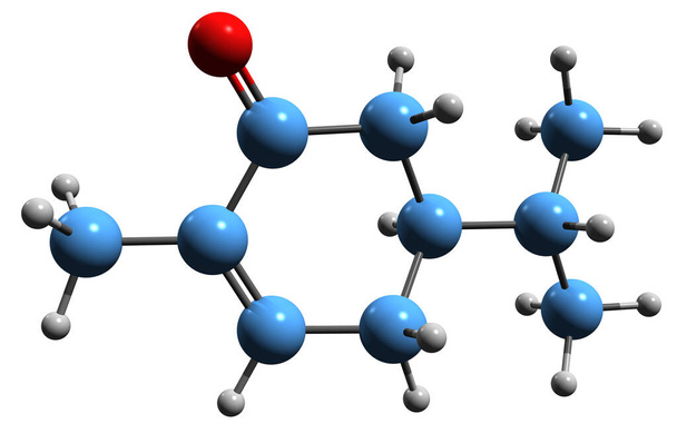 Imagen 3D de la fórmula esquelética de carvotanacetona - estructura química molecular del monoterpenoide aislado sobre fondo blanco - Foto, imagen