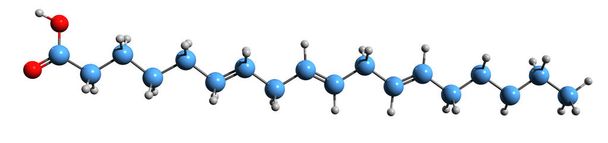 3D obraz kosterního vzorce kyseliny gama-linolenové - molekulárně chemická struktura kyseliny gama izolované na bílém pozadí - Fotografie, Obrázek