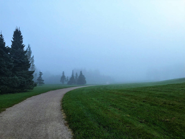 Eerie mglisty cichy poranny krajobraz z chodnikiem, zielony trawnik i świerki jodły - Zdjęcie, obraz