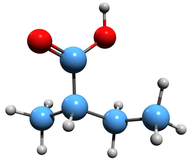 Immagine 3D della formula scheletrica metil-etil-acido acetico - struttura chimica molecolare del composto organico isolato su fondo bianco - Foto, immagini