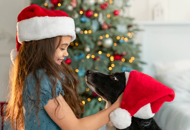 Χαριτωμένο κοριτσάκι απολαμβάνει τα Χριστούγεννα με το σκύλο. Βάζει ένα καπέλο Σάντα σε ένα κεφάλι σκύλου και γελάει  - Φωτογραφία, εικόνα