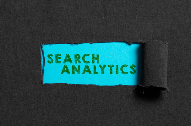 Signo de texto que muestra Search Analytics, idea de negocio investigar interacciones particulares entre los buscadores web - Foto, imagen