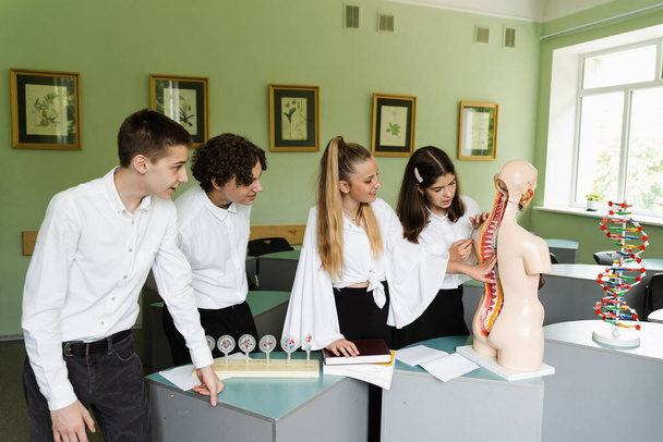 Leerlingen die inwendige organen bestuderen bij de oefenpop in de klas. Schoolkinderen onderzoeken anatomisch model in lab op school op biologieles - Foto, afbeelding