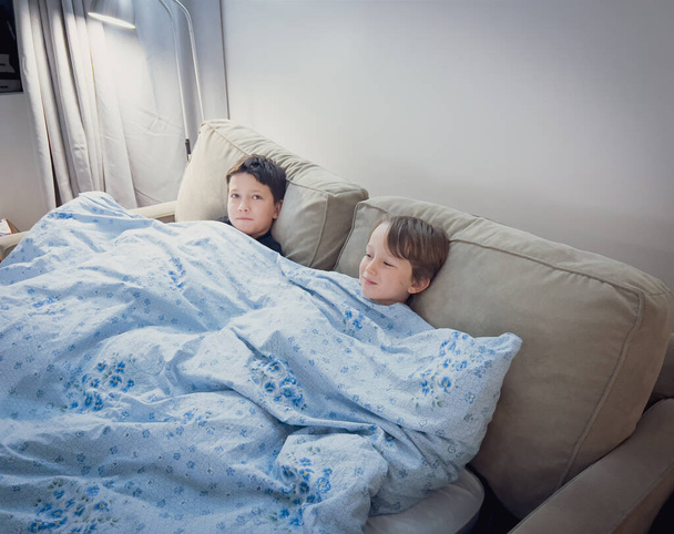 High angle view of caucasian brothers covered with duvet relaxing together on sofa in living room at home - Foto, Bild