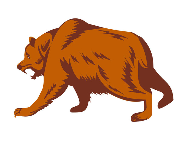Retro dřevořez styl ilustrace rozzlobený medvěd grizzly, Ursus arctos horribilis, severoamerický medvěd hnědý nebo prostě grizzly o útoku nahlížené ze strany na izolovaném pozadí provedeno v barvě - Vektor, obrázek