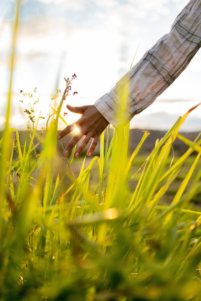Ελευθερία, φωτοβολίδα και χέρι ανθρώπου σε ένα χωράφι για την άνοιξη, φυτά και οικολογία με ήλιο στην ύπαιθρο. Γεωργία, ανάπτυξη και άνθρωπος ελεύθερος στη φύση, περπάτημα και περιπέτεια με ήλιο το καλοκαίρι. - Φωτογραφία, εικόνα