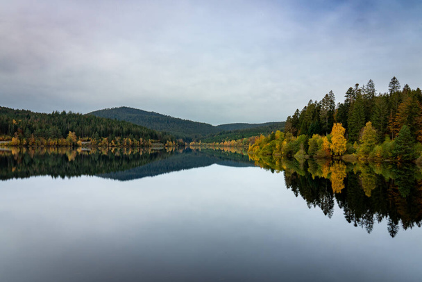 Tree line on the shore of a lake with reflections in the water. Shot in autumn in the black forest region in germany. Beautiful autumn colors on the trees and a clear reflection in the water. - Foto, afbeelding