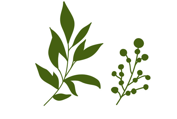 Zielona paproć leśna, tropikalny zielony eukaliptus zieleń sztuka liści naturalne liście zioła. ilustracja projektu - Wektor, obraz