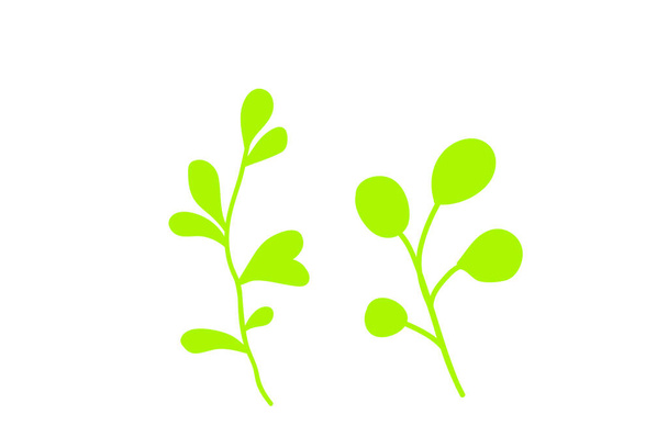 Green forest fern, tropical green eucalyptus greenery art foliage natural leaves herbs . illustration for design - Διάνυσμα, εικόνα