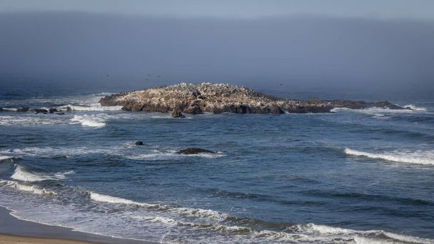 De kustlijn van de prachtige noordelijke Stille Oceaan op de snelweg 1 in Californië, met de glooiende mist uit de zee, het koude water en de hoge golven en rotsen in het water, de ideale uitdaging voor veel surfers - Foto, afbeelding