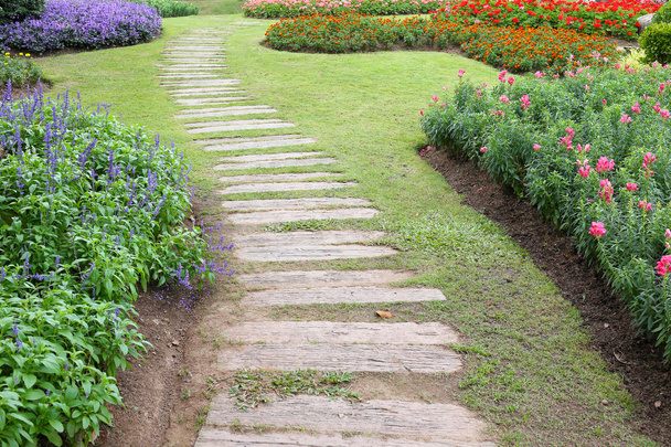 landscape of floral gardening with pathway in garden - Фото, изображение