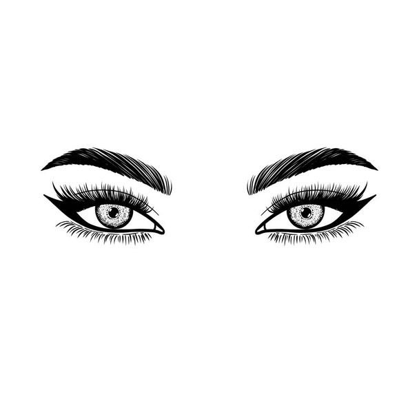 Esboço de olhos femininos em um estilo linear no fundo branco. - Vetor, Imagem