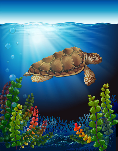Una tortuga marina bajo el agua
 - Vector, imagen