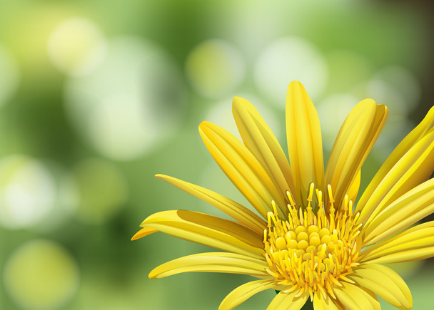 Цветущий цветок
 - Вектор,изображение