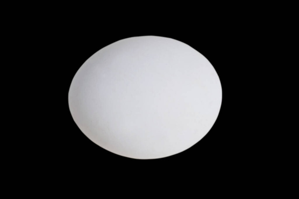 Egg isolate on black background with place for text. - Photo, Image